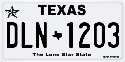 TX license plate DLN1203