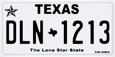 TX license plate DLN1213