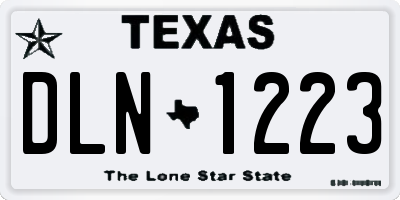 TX license plate DLN1223