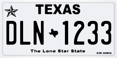 TX license plate DLN1233