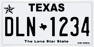 TX license plate DLN1234