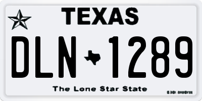 TX license plate DLN1289