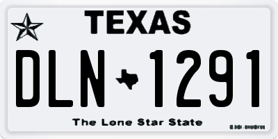 TX license plate DLN1291