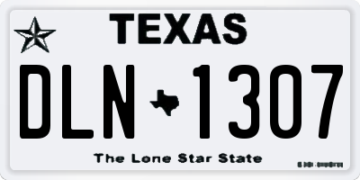 TX license plate DLN1307