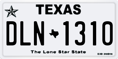 TX license plate DLN1310