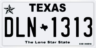 TX license plate DLN1313
