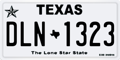 TX license plate DLN1323