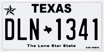 TX license plate DLN1341