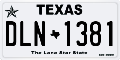 TX license plate DLN1381