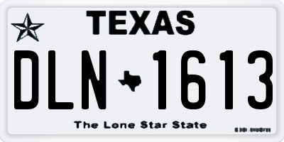 TX license plate DLN1613