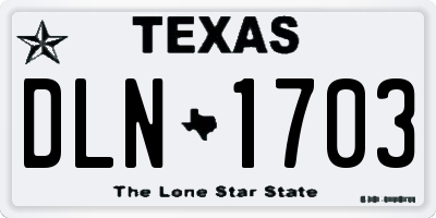 TX license plate DLN1703