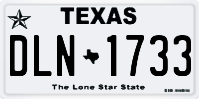 TX license plate DLN1733