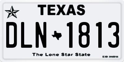 TX license plate DLN1813