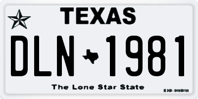 TX license plate DLN1981