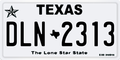 TX license plate DLN2313