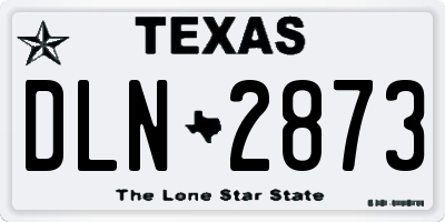TX license plate DLN2873