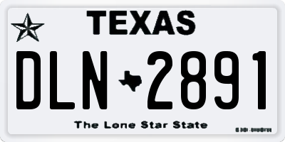 TX license plate DLN2891