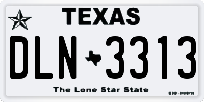 TX license plate DLN3313