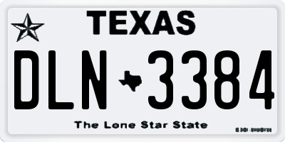 TX license plate DLN3384