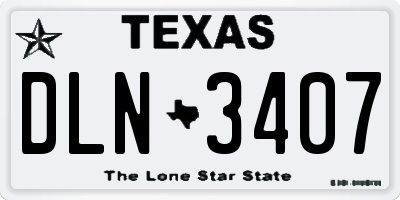 TX license plate DLN3407