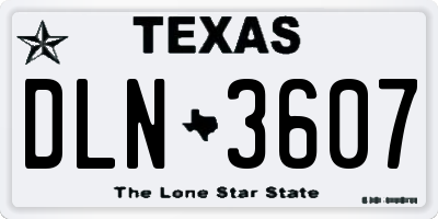 TX license plate DLN3607