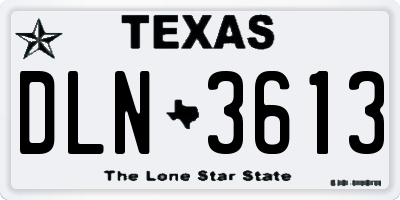 TX license plate DLN3613