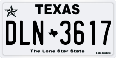 TX license plate DLN3617