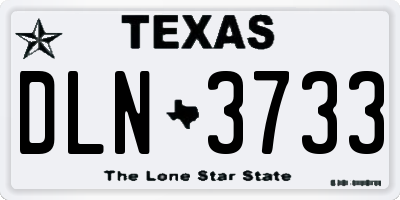 TX license plate DLN3733