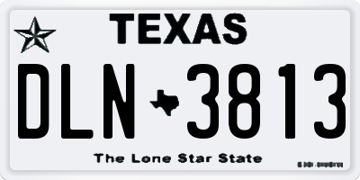 TX license plate DLN3813