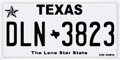 TX license plate DLN3823