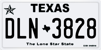 TX license plate DLN3828