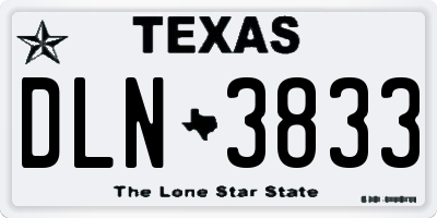 TX license plate DLN3833