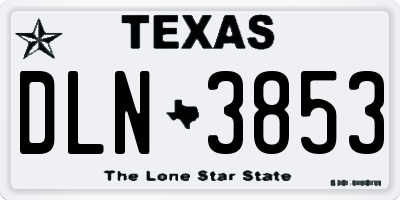 TX license plate DLN3853
