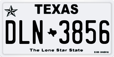 TX license plate DLN3856