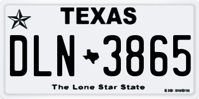 TX license plate DLN3865