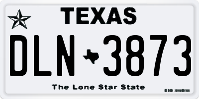 TX license plate DLN3873