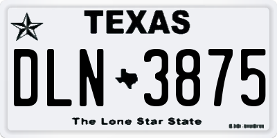 TX license plate DLN3875