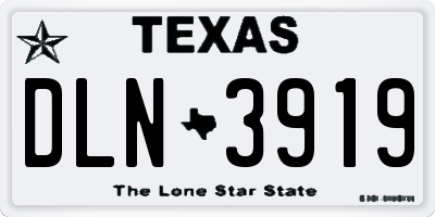 TX license plate DLN3919