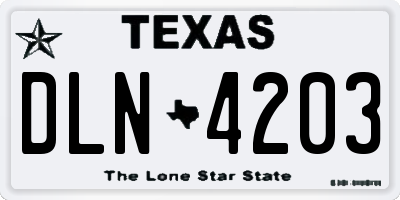 TX license plate DLN4203