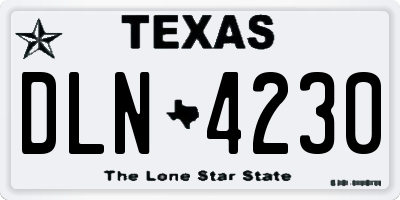 TX license plate DLN4230