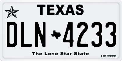 TX license plate DLN4233