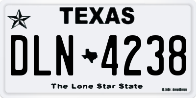 TX license plate DLN4238