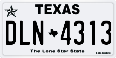 TX license plate DLN4313