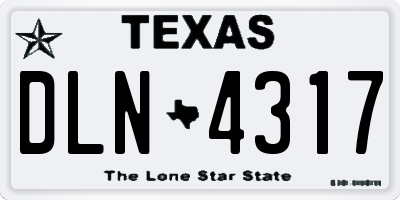 TX license plate DLN4317