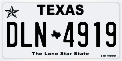 TX license plate DLN4919