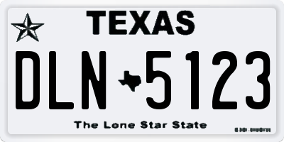 TX license plate DLN5123