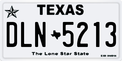 TX license plate DLN5213