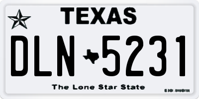 TX license plate DLN5231