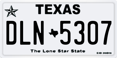 TX license plate DLN5307