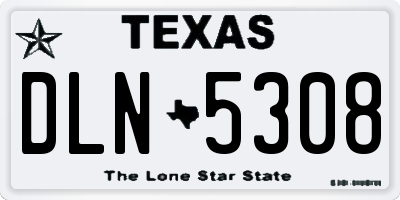 TX license plate DLN5308